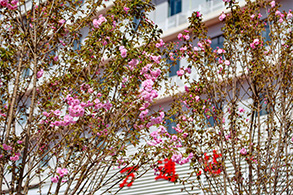 ������ͨ��ѧ����