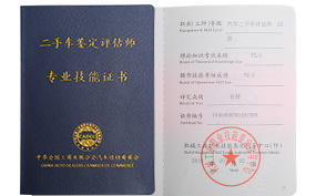 ���ֳ���������ʦ